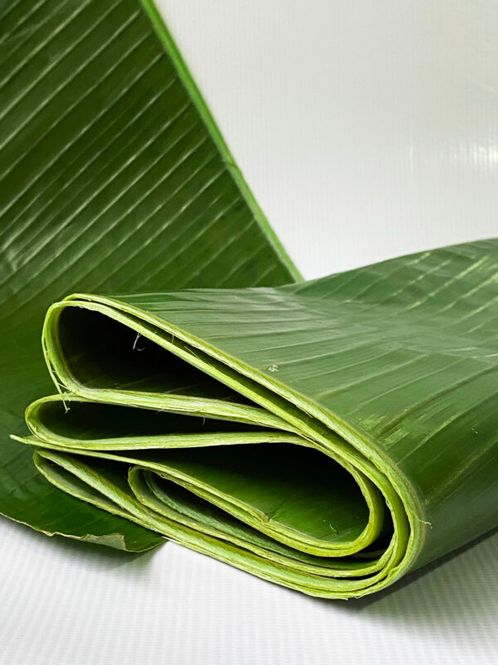 Hovedbilde HOJA PLATANO LIMPIA, AHUMADA, LISTAS  ( Premium ...